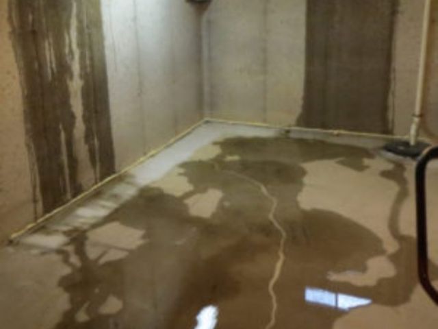 Help! I Found Water in My Basement! What Should I Do Next?